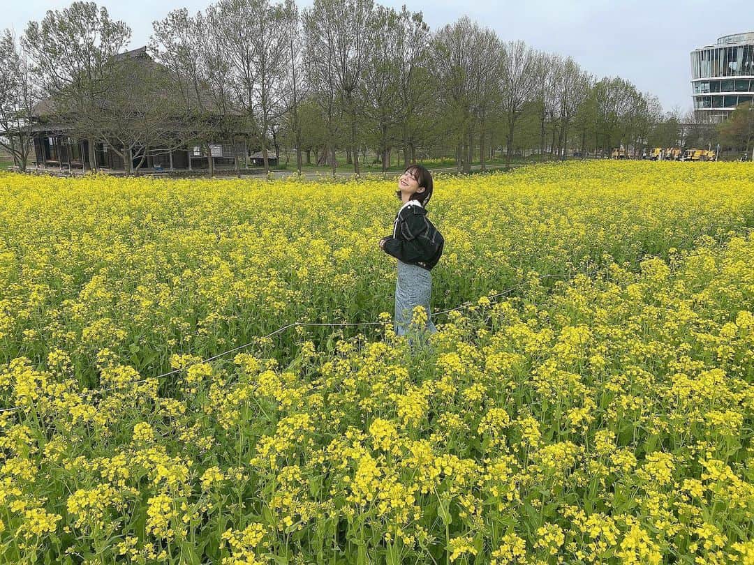 のインスタグラム：「菜の花満開気持ちよかった☺️💛 #新潟 #福島潟 #福島潟の菜の花畑」