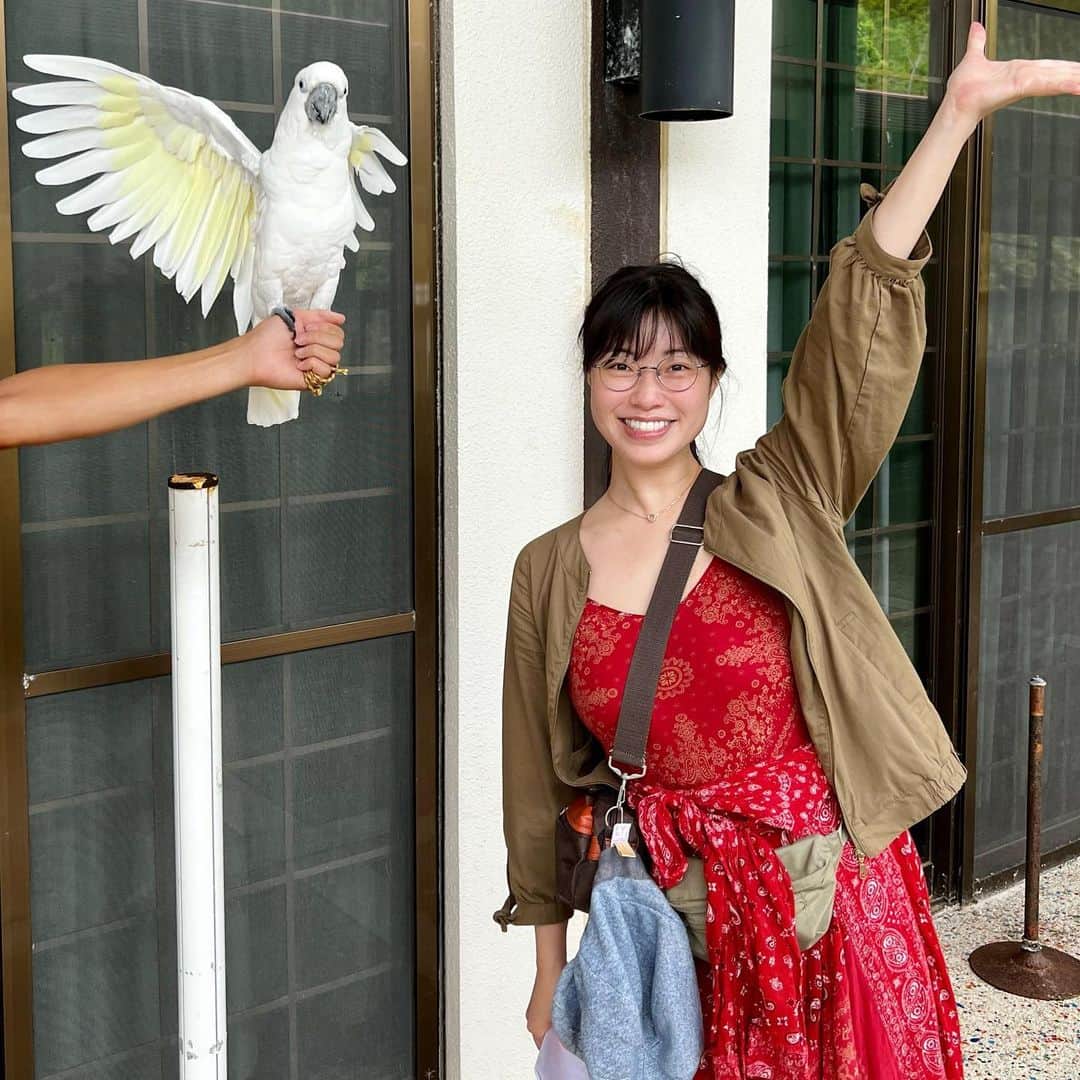 のインスタグラム：「ロケ最終日はオフを頂き、気になっていた #ネオパークオキナワ に行ってきました🦜 終始動物さん達が可愛くて、ずっと高い赤ちゃん言葉で話しかけてました😂💓 モルモットや中型犬の子達とは触れ合う事も出来て幸せだった〜☺︎ 本当に尊い子たち。 少しでも幸せで居られる子が増えるように、微力でも自分に出来る事をしたいなって思いました😌」