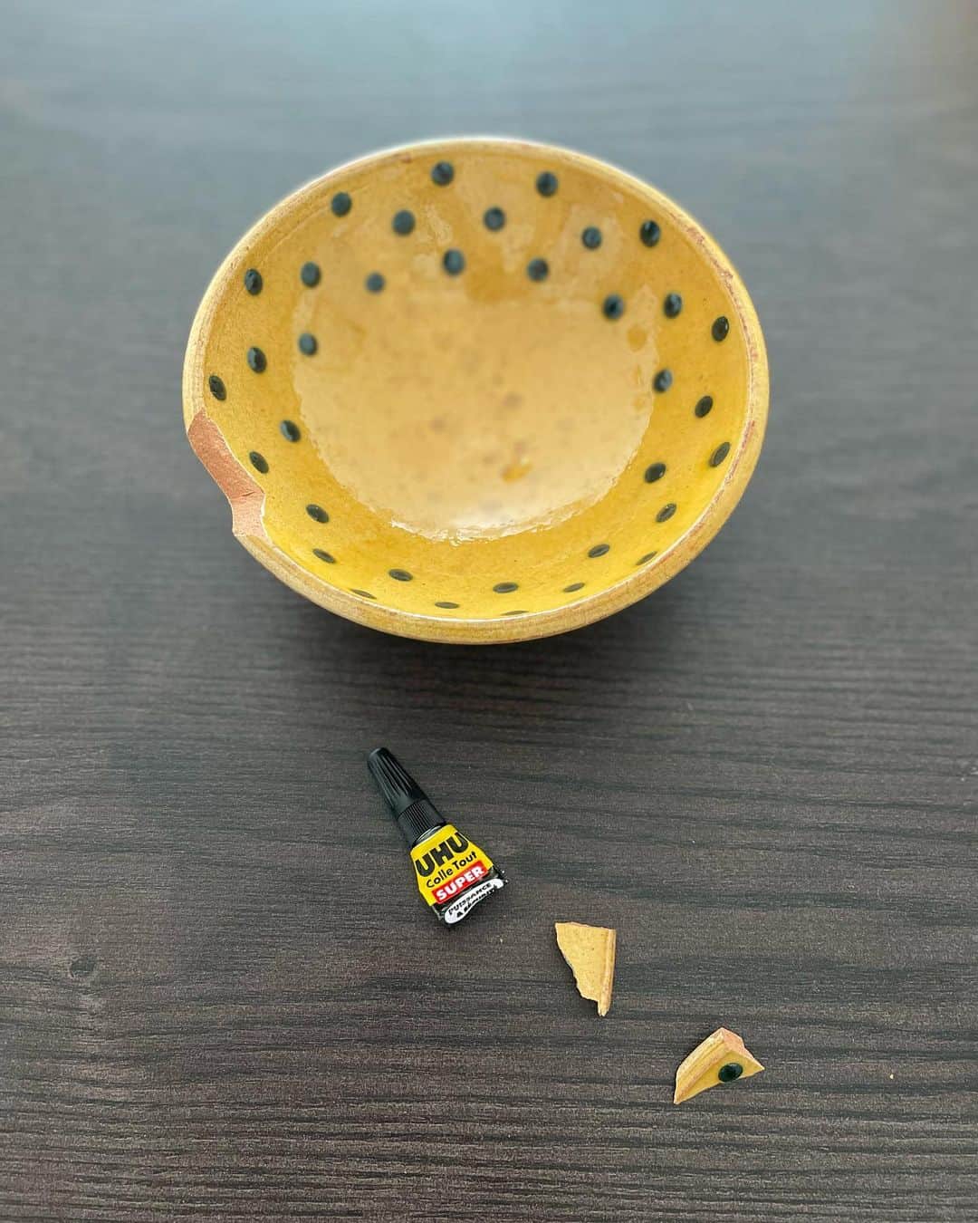 のインスタグラム：「おとといの話。  ユピ坊のごはん皿を欠いてしまった😫 ふたりともちっちゃいときだから、もうかれこれ10年ほど前に、パリ5区にあるフランスの地方民芸陶器を扱うお店で、ピガ兄のお皿と模様違いで買ったもの。  わかりやすい模様にしたのは、将来病気でごはんを分けなくてはいけなくなった時、自分のお皿と認識しやすいように……っていう母なりの願いが込められていたのだけど、結局、それぞれのお皿を味見し合う現在。ほぼ、意味なし芳一(꒪⌓꒪) だがしかし、これは大変に思い出深いお皿だから、修理(*✧×✧*)   日本なら金継ぎに出すのになぁ。  その後お皿は無事に復元されて、今日から現役再復帰しています。  #ユピ坊　#猫パリ　#猫沢エミのインターナショナル五十路ライフシフト　#猫沢エミリーパリへ行く」