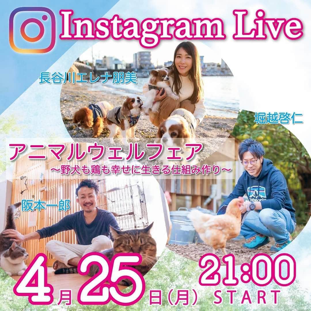 長谷川朋美のインスタグラム