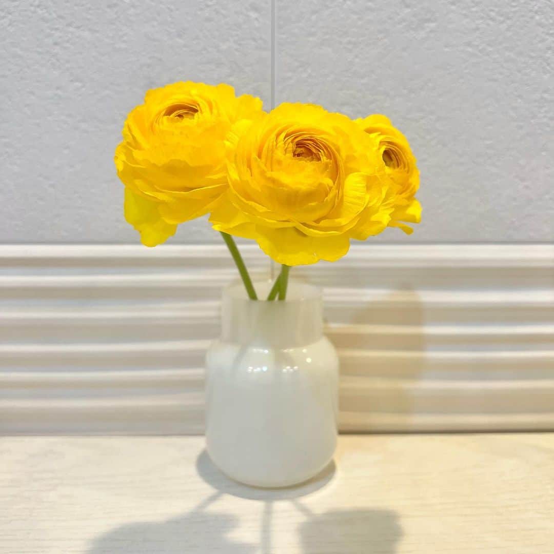 ののさんのインスタグラム写真 ののinstagram 元気が出るイエロー 元気