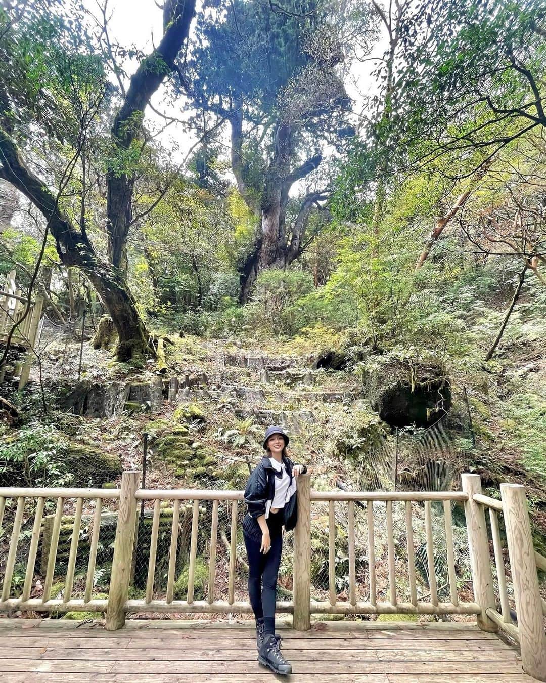 のインスタグラム：「4/20🤍  誕生日は、屋久島で縄文杉トレッキングでした🌿  今回は、お客様のご要望に合わせた 少人数でのプライベートツアーだったのですが、 天候の関係で、まさかの誕生日当日に 縄文杉になるなんて奇跡すぎましたっ😂🌳！  去年の誕生日に、屋久島に初めて来て そこから1年で、屋久島と東京の行き来をする様になるなんて 思ってもいませんでしたが、 自分に必要な事だったなとしみじみ感じています🤍  屋久島には、"何もないけど、全てある" 生命の島🌏🤲✨  自分の直感に従って選択していくと 驚くほどのスピードで変化していく人生が ワクワクとっても楽しいです🤍  愛と平和の心地良い世界に🤍🕊🌿  そして、たくさんのお祝いのメッセージありがとうございます🙏✨  思いのこもったメッセージに 心打たれて、幸せいっぱいな誕生日😭✨  みんなが本当に大好きで、らぶですううううう🥺🤍🤍🤍  いつもありがとうございます🙏✨  皆様に、幸あれ☺️🤍  #屋久島 #yakushima #縄文杉 #trekking #トレッキング #420」