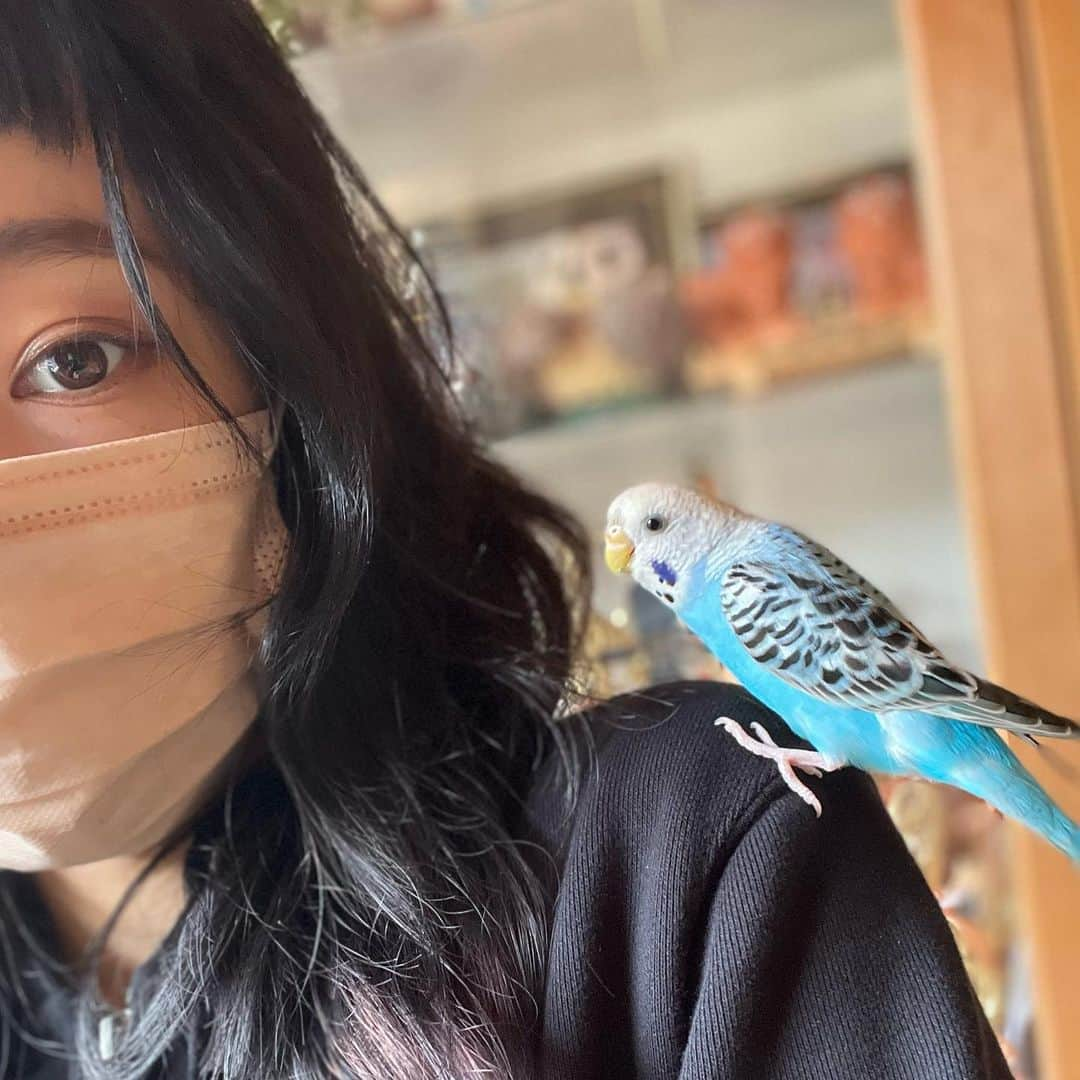 TsurutaHitomiさんのインスタグラム写真 - (TsurutaHitomiInstagram)「生き物って可愛い💚 #セルフネイル #カエルさん #ピー子さん」4月21日 20時31分 - hiromi_tsuruta