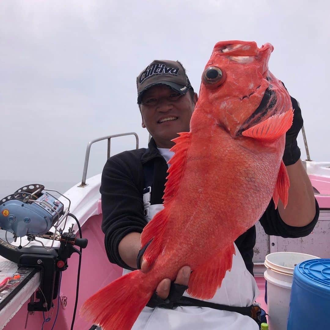 榎本加奈子さんのインスタグラム写真 - (榎本加奈子Instagram)「きょう主浩さんがまた大きな魚を釣ってました ✨ 50キロのアブラボーズとベニアコウ‼︎ 船長のタカシ君がすごいのかな？(笑)  クエと違ってぬるぬるしていないらしい🤔    暖かくなってきたから私も釣りに行きたい🐟 主浩さん、私も釣りに誘って🥹  #🎣 #海釣り #釣り好き #自慢話#🤣」4月21日 20時44分 - kanako._.enomoto