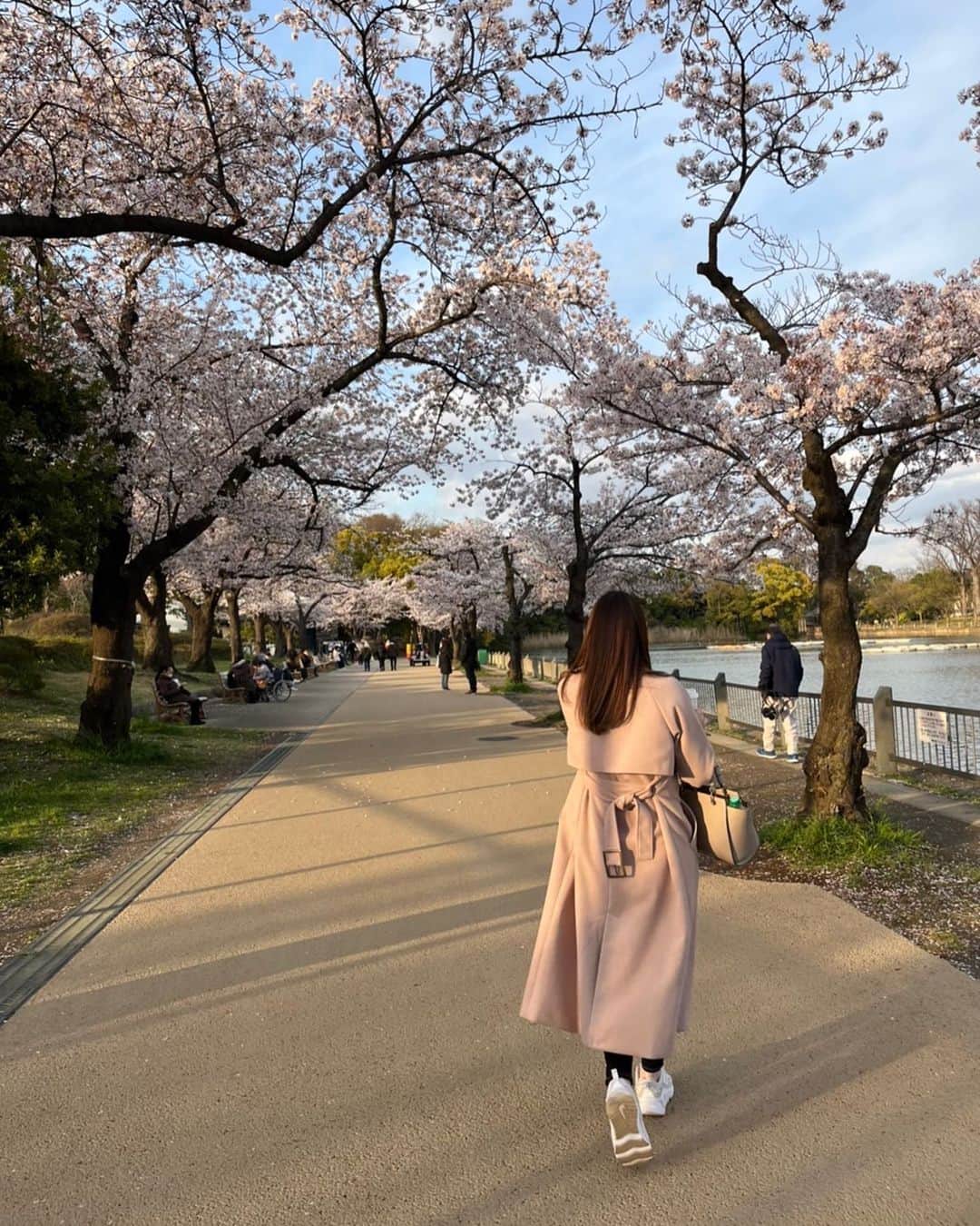 白河希美のインスタグラム：「春のぽかぽかした気温って眠くなるよね🥱💤  これは今年お花見したときの写真🌸  #お花見 #桜　#春のにおいがした  #後ろ姿美人になりたい　#映え写真撮れず」