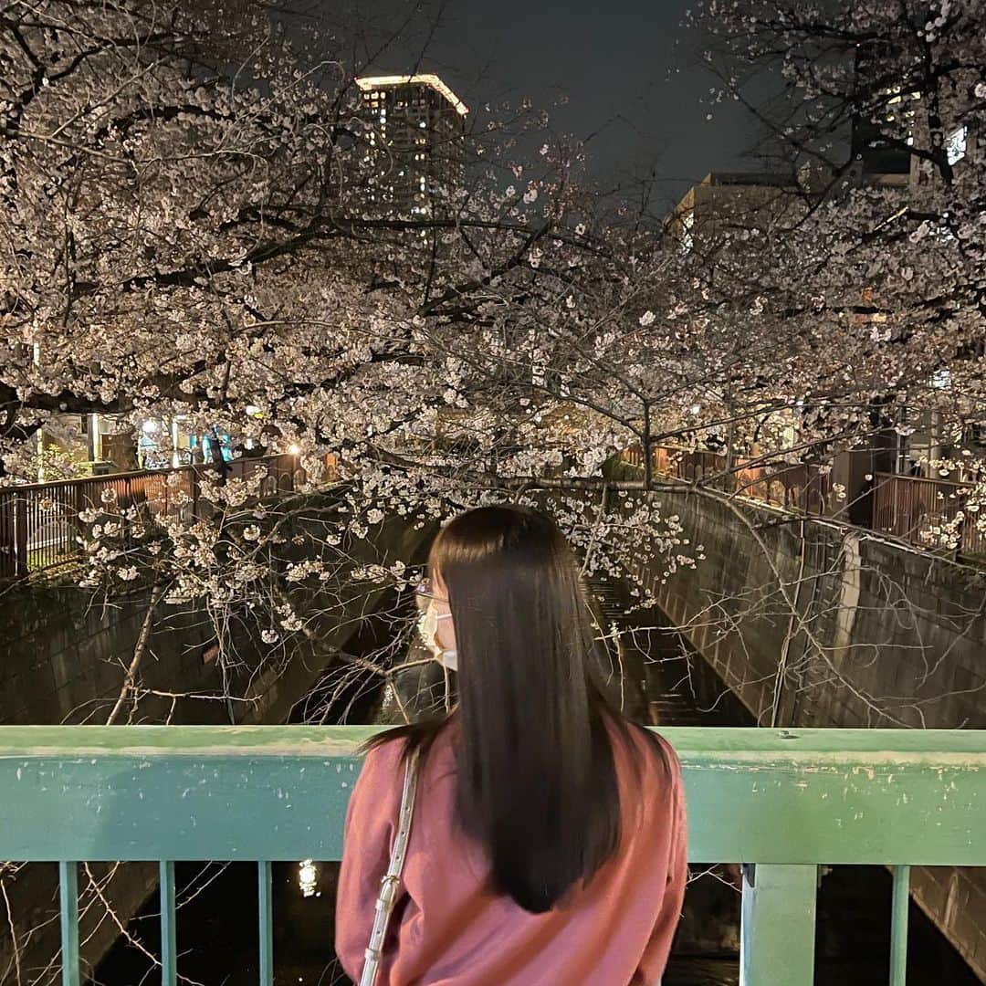 榎本ゆいなさんのインスタグラム写真 - (榎本ゆいなInstagram)「そういえば目黒川の桜お仕事終わりに少しだけ見れました！来年はゆっくりお花見できるようになってるといいですね🙂」4月21日 21時42分 - enomoto_yuina