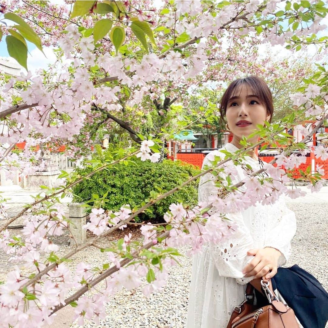 石川理咲子さんのインスタグラム写真 - (石川理咲子Instagram)「#kyoto #車折神社 7年ぶり？くらいに芸能神社で有名な 車折神社にもお参りに行けました⛩ とても良い気が流れていたなぁ🌿 これからも素敵なお仕事がたくさんできますように…♡  私服タグ付けしました🤍 意外と持っていなかったネイビーのジャケットが とっても使える👏 @rope_jp  3枚目の写真は近くに大きな虫がいて こっち来ないでね？と、目で訴えております。笑」4月21日 21時58分 - rsk_0315