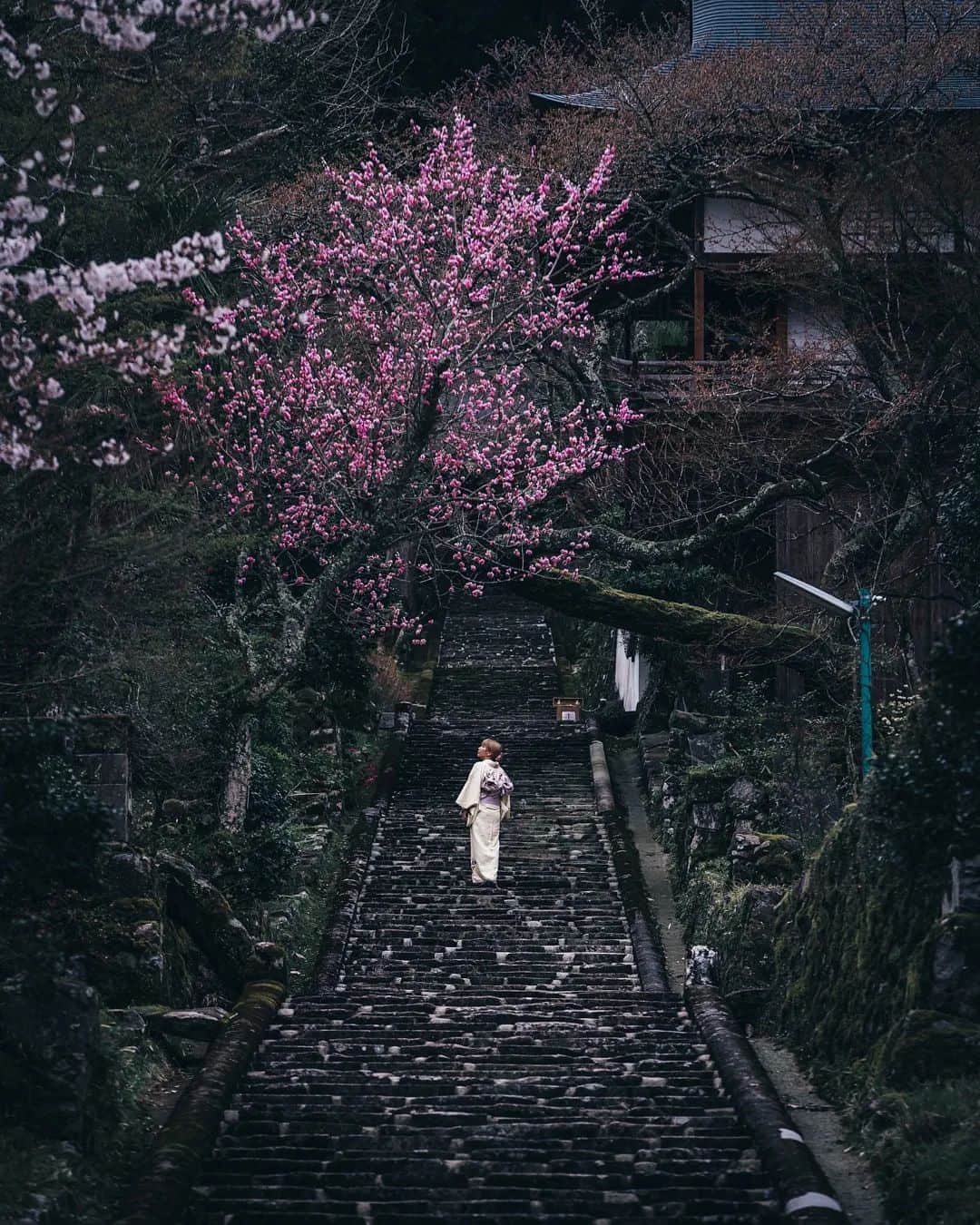 deepskyのインスタグラム