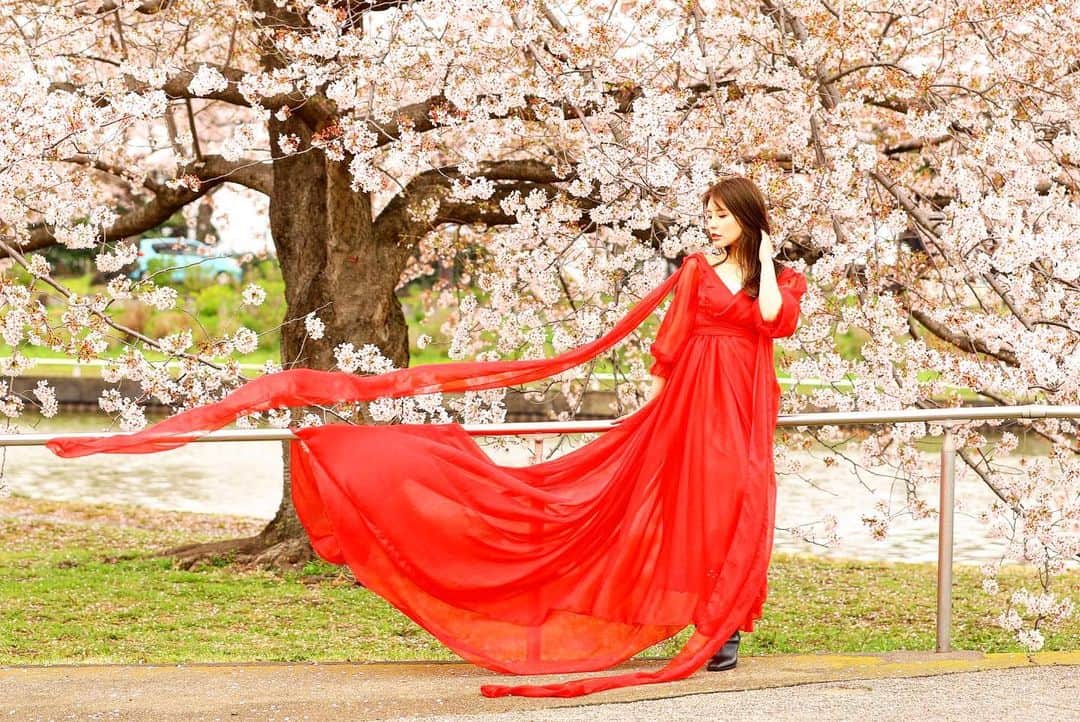 蒼井彩加のインスタグラム：「#グラビア　#ポートレート　#撮影 #トレーニング女子　#作品撮り #ポートレート撮影 #写真　#写真好きな人と繋がりたい #お花見　 #被写体　#被写体モデル #dress #sakura  #gravure #portrait #shooting  #gymgirl #muscletraining #dress  #workshooting #fitness #fitnesgirl #sns   #subject #subjectmodel  #makeup #makeupartist  #mylife #japanese #japanesegirl  お父さんとお母さんが頑張ってくれた賜物✨✨ ありがとうございます😊 子鹿の撮影はアットホームですごいたのし😍」