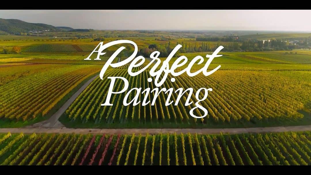 ヴィクトリア・ジャスティスのインスタグラム：「I present to you… the official trailer for my new film, A Perfect Pairing, coming to @Netflix on May 19! I had so much fun making this movie and I’m so excited for you guys to see!! ☺️🇦🇺🎬🍿🍷🍇🐑💩 #APerfectPairingNetflix @NetflixFilm」