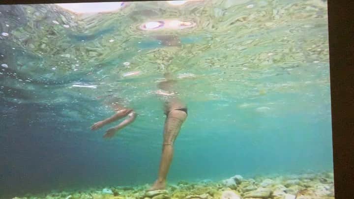 のインスタグラム：「Angela Tiatia, Lick, 2015 @mca_australia  #AngelaTiatia’s single-channel video Lick (2015) records a performance by the artist in a single take from a fixed camera position. Filmed underwater in the ocean, the video shows Tiatia’s partially submerged body as she attempts to maintain a foothold on the seabed. Light plays seductively off the surface of the turquoise water, fish swim by, and we hear the ambient sound of the pulsing waves. The artist flexes and flails as she resists the incoming tide but is eventually overpowered by its force and floats out of view.   While Tiatia’s choice of title clearly alludes to waves encroaching on the shoreline, it can also be read as a more oblique reference to stereotypes of Pacific cultures and bodies as exotic and desirable. In this sense, the intense focus of the camera on her figure – a cipher for the Western and, more specifically, male gaze – is framed as another form of duress or incursion. Tiatia has made numerous other performances for video that explore similar terrain using the same distilled aesthetic approach. In Heels (2014) from her series An Inventory of Gestures, for example, she repeats a specific movement adopted by dancers in Samoa, while dressed in a figure-hugging body suit and stilettos. Meanwhile, Holding On (2015) shows Tiatia from above lying prone in a swimsuit on a cement slab as a restless tide surges around her.  The representation of the female body is such a strong theme in my work, and it has always been so present. For me, it’s about straddling these two worlds [of Western and Samoan culture].」