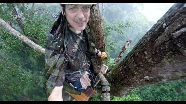 Tim Lamanのインスタグラム：「What does it take to get some of my hornbill shots, like in my last post?  Here is an example of a situation I found myself in while constructing a canopy blind in Thailand and getting caught in a downpour.  What would you do?  Wait it out and finish the blind so you can shoot at sunrise the next morning, or go down and finish later (I waited it out). In the middle of the clip, you can see a hornbill waiting out the rain in her nest. It’s Earth Day tomorrow, and I’m having a print sale to celebrate finishing my new book BIRD PLANET, and to raise funds for bird conservation.  Thanks for following along on my adventures, and showing your support for the birds! #hornbill #earthday #rainforest」