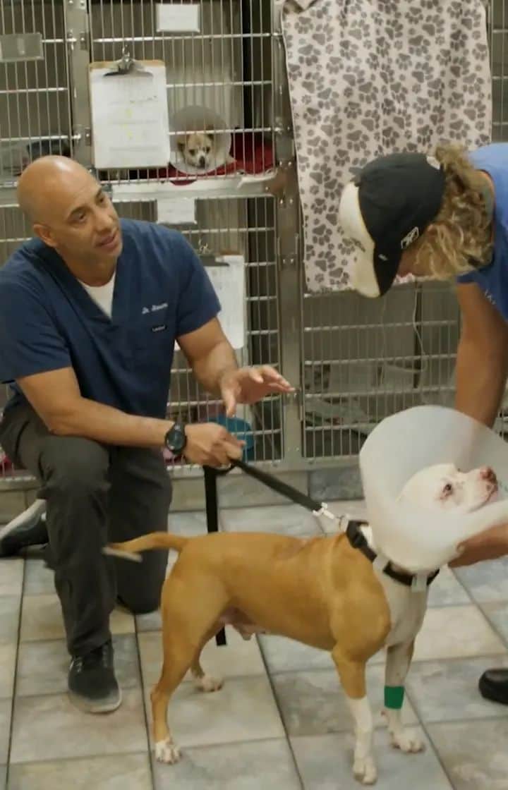 のインスタグラム：「This moved me to tears today. Tears of hope. Tears of compassion. Tears of gratitude for this incredible man and the good and great work he is doing. I wanted to share in the hope it inspires you as much as it did me. @thestreetvet @drkwane projectstreetvet.org」