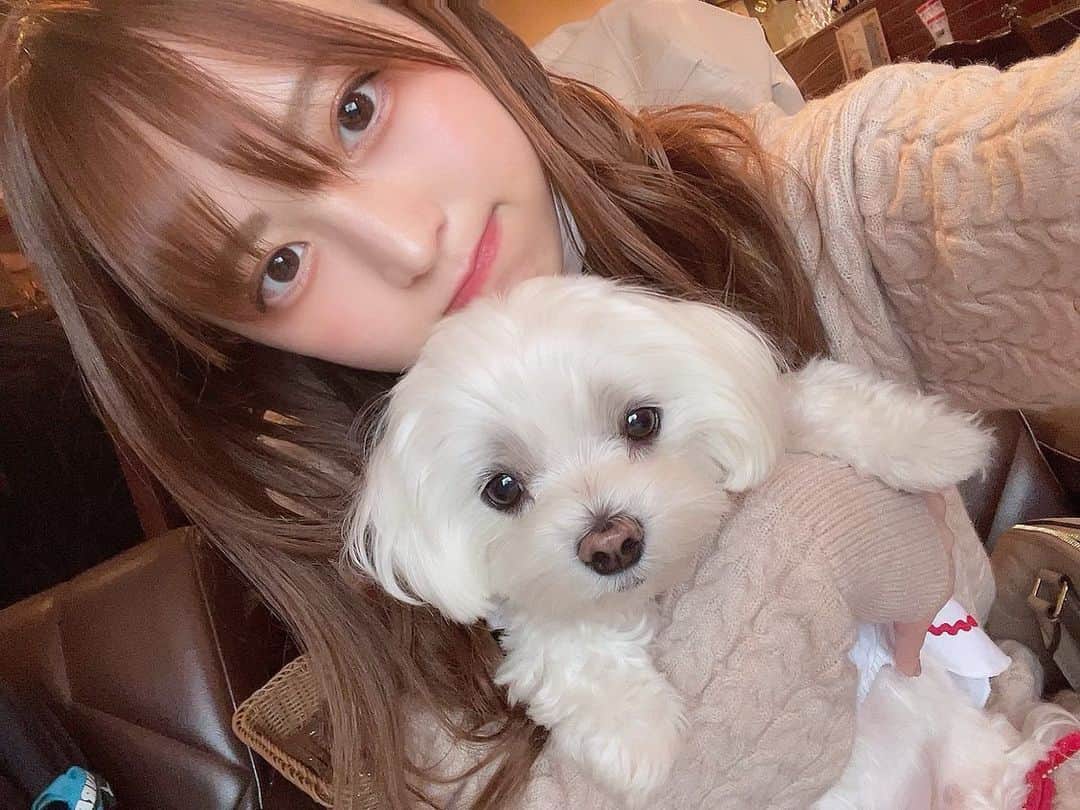 竹内星菜のグルメインスタ