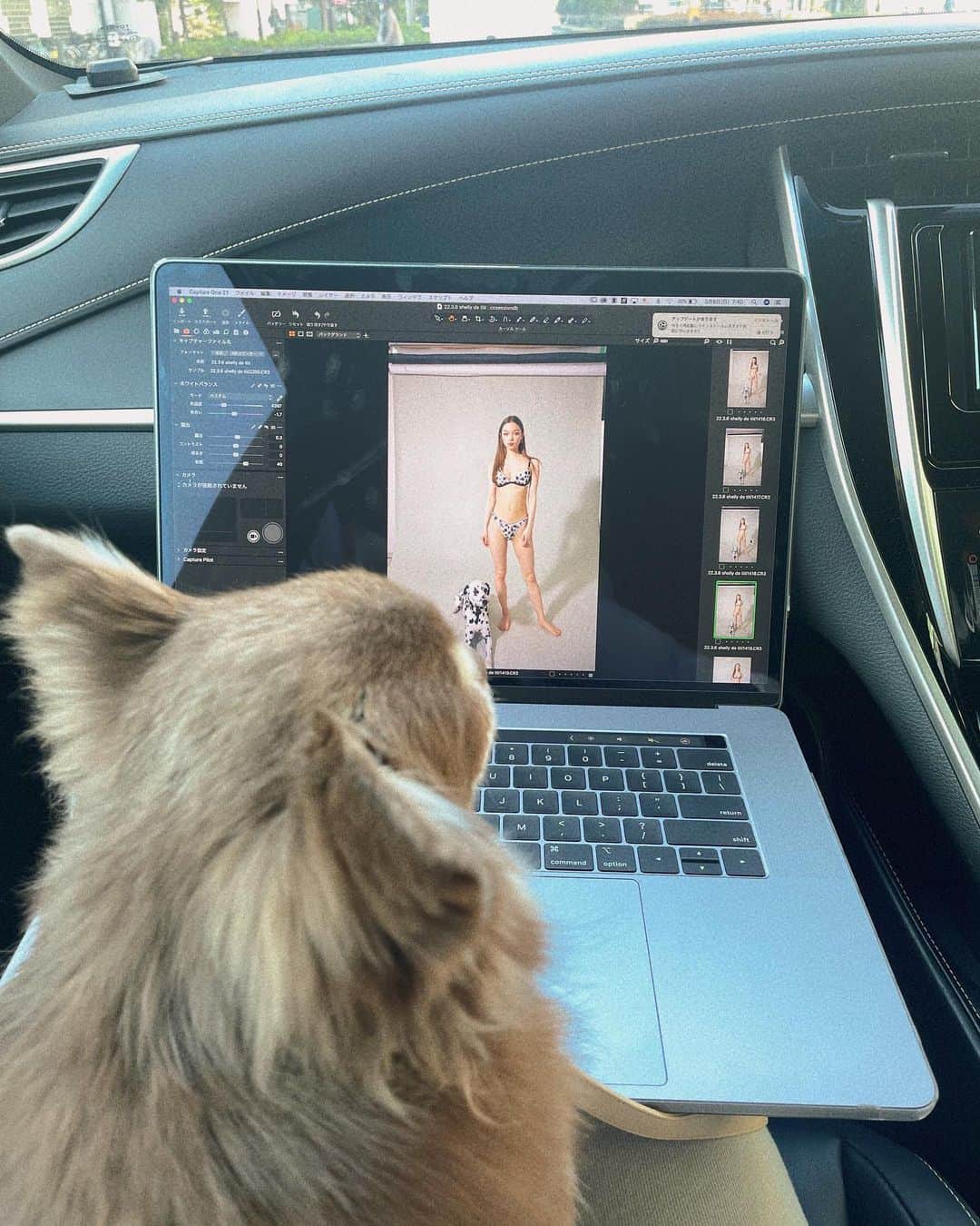 Tomomi Teradaのインスタグラム：「チュロ様撮影データ確認中💻🐶」