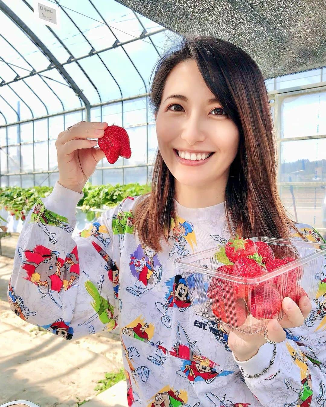 矢部あやのインスタグラム：「2年ぶりにいちご狩りへ🍓 ロイヤルクイーンが優勝でした🏆 ・ #いちご狩り #毎週行きたいレベル」