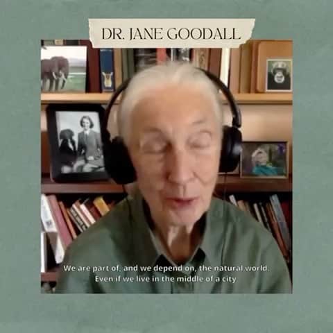 ファーン・コットンのインスタグラム：「On Earth Day I’m throwing it back to someone I admire so, so much. @janegoodallinst @janegoodalluk spoke to me on @happyplaceofficial the podcast last year and it’s a conversation I will never forget. If you’ve not listened to it yet go back into our archive for some real inspiration and hope. 🎧    Also if you head to @happyplaceofficial there are a few more videos with conversations you may enjoy on sustainability, activism, hope and solutions.  Let me know if you get a chance to check one of them out today. 🌏♥️」