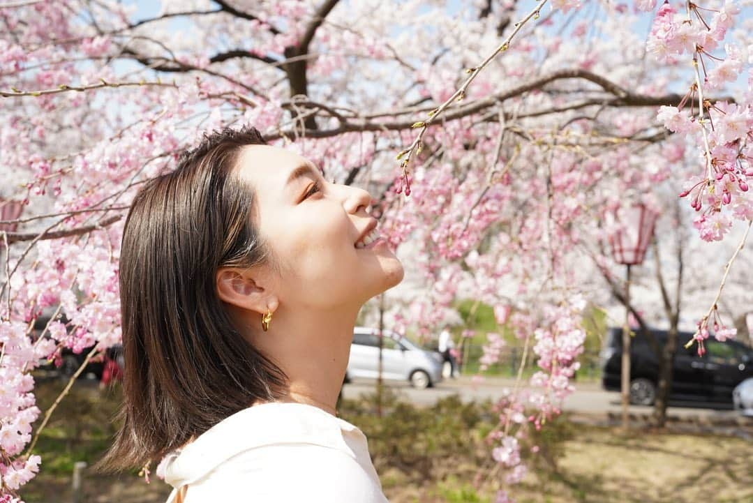 Hitomiのインスタグラム：「❤︎  🌸🌸🌸🌸🌸  高田城址公園に初めて行ってきました🥰 公園全体が全部さくらだらけ🌸 屋台とかもいっぱいあって楽しかったー😌🏮  次の季節のイベントは長岡花火🎆 ここ何年もやってなかったんだけど 今年はやるんだって🥺楽しみだなーーっ❤️❤️ 浴衣の準備もうしちゃうよ🫣💕  #高田城址公園 #さくら　#桜　#新潟　#お花見」