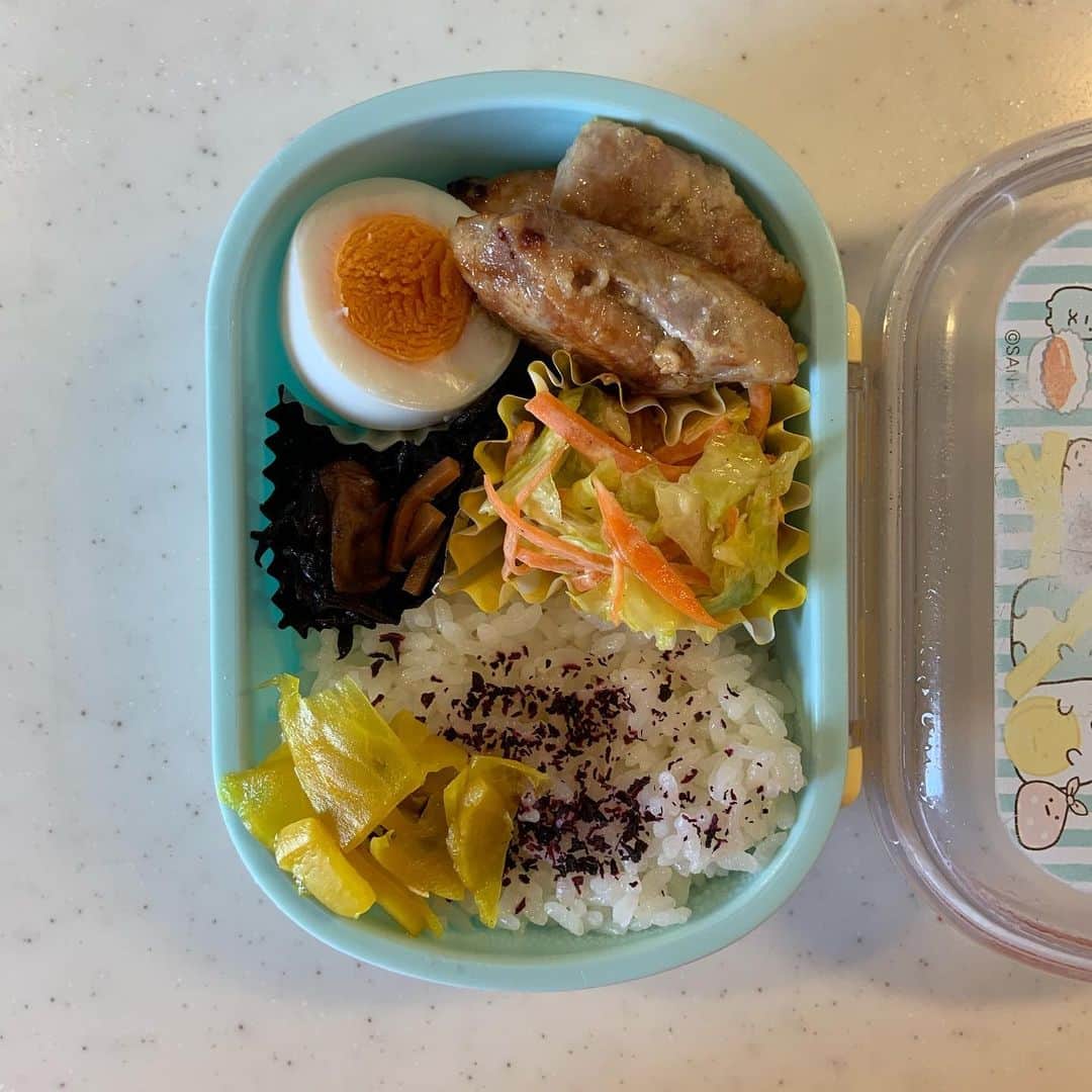 Boseのインスタグラム：「お弁当は続く。 #ゲバたん弁当」