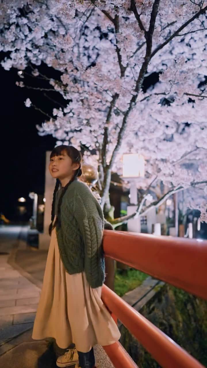 Kyooonのインスタグラム：「桜満開の城崎の夜🌉  夜にこんなに綺麗に撮れるのすごすぎない？🥺📷 （お借りしていたα7sⅲの破壊力。。。）  春休みのお終わりに城崎温泉に♨️ ちょうど桜が満開でお昼も夜も街歩きを楽しんだよ  📷　#sonya7siii #a7siii  レンズ　#SEL24F14GM 商品貸出：ソニーマーケティング株式会社  #子どもの日常を動画に#日常をシネマティックに#姉妹#4歳差姉妹#ダヴィンチリゾルブ#davinciresolve#photo_jpn#cameramantokyo#シネマティック#cinematicvideo#cinematicvlog#動画編集#動画制作#動画撮影#videotips #filmmakers #creativevideo#phonegraphy#filmmakers_world#filmmakersworld #trickmovie#photo_jpn#yourstomake#creative_portraits#城崎温泉#夜桜ライトアップ#alpha_newgeneration」