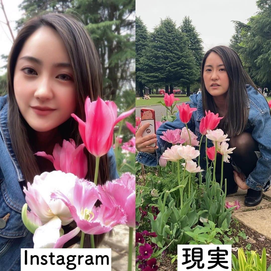 おしぷりのインスタグラム：「花とのツーショットは 思ったよりも難しい🙂🌷  自分とお花が綺麗に入る 角度を探しながらキメ顔で 撮るのも大変だし、  足もジンジンしてくるし、 最後はしびれちまったし、  家に帰ったらカコらないと いけないし、なかなか手間が かかるんだぜえ。  カコル＝加工する」