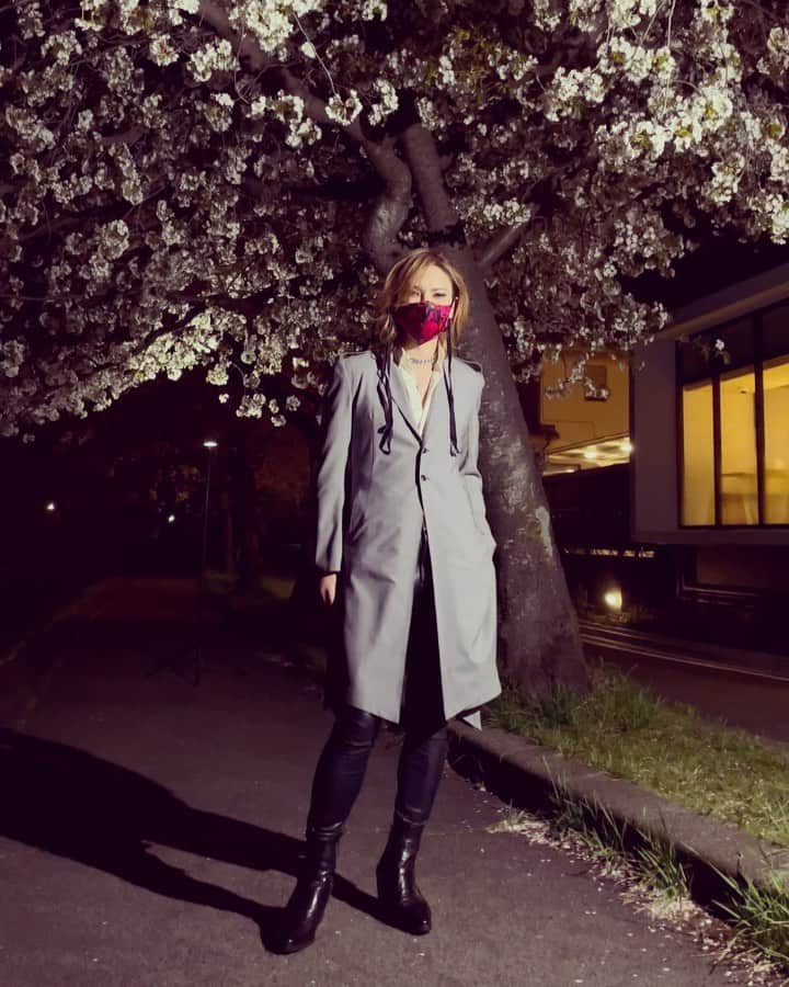 のインスタグラム：「Sakura! 桜 Cherry blossom. 🌸 ぎりぎり間に合った？  Yoshiki   #yoshiki #xjapan #sakura #cherryblossom #さくら ＃桜 #tokyo #japan」