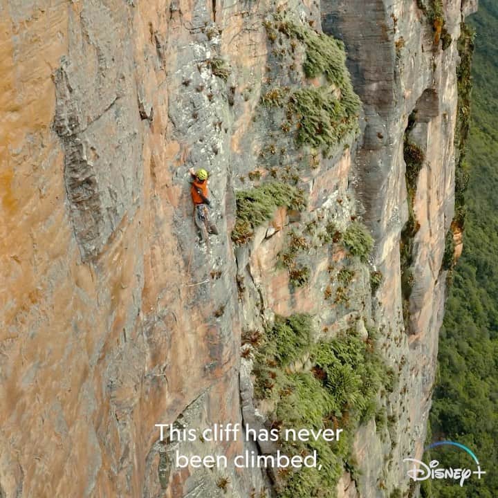 アレックス・オノルドのインスタグラム：「Join me as I explore one of the most beautiful and mysterious rock formations on earth. On #NatGeoExplorer: The Last Tepui, I was given the opportunity to assist in the first ascent up one of the Amazon’s “islands in the sky” in pursuit of undiscovered species that evolved in isolation from the outside world. Now streaming on @DisneyPlus. #ExplorerLastTepui」