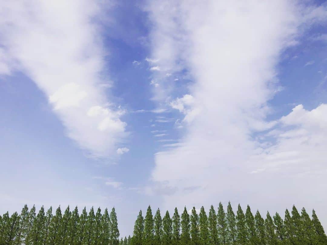 真戸原直人のインスタグラム：「# 今日の空　#クリケット全勝　#心地いい日焼け」