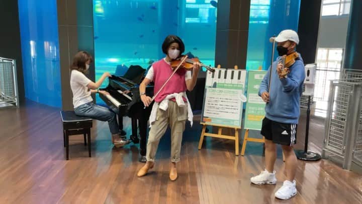 のインスタグラム：「ツアー初日前夜から打ち上げると言う異例のツアー。  壱岐に渡る前に、水槽の前で、モツオと弾いちゃった 島民の数25000人のうち、1250人の方がいらしてくださいました。福岡からの方も多かったけどね 食べ物も美味しいし、気候も空気も最高、そしてお客様も暖かく、野郎どもとボケたカバちゃんを見守ってくれました。 まともなのは私だけと言うコンサートですが、なぜか楽しいです。 ストラディヴァリス「ルーシー」の名前入りのゴルフボールもらっちゃった〜めっちゃ大事にします。絶対ウッドの時は打たない。 明日は熊本 三度目の正直 コロナめ！」