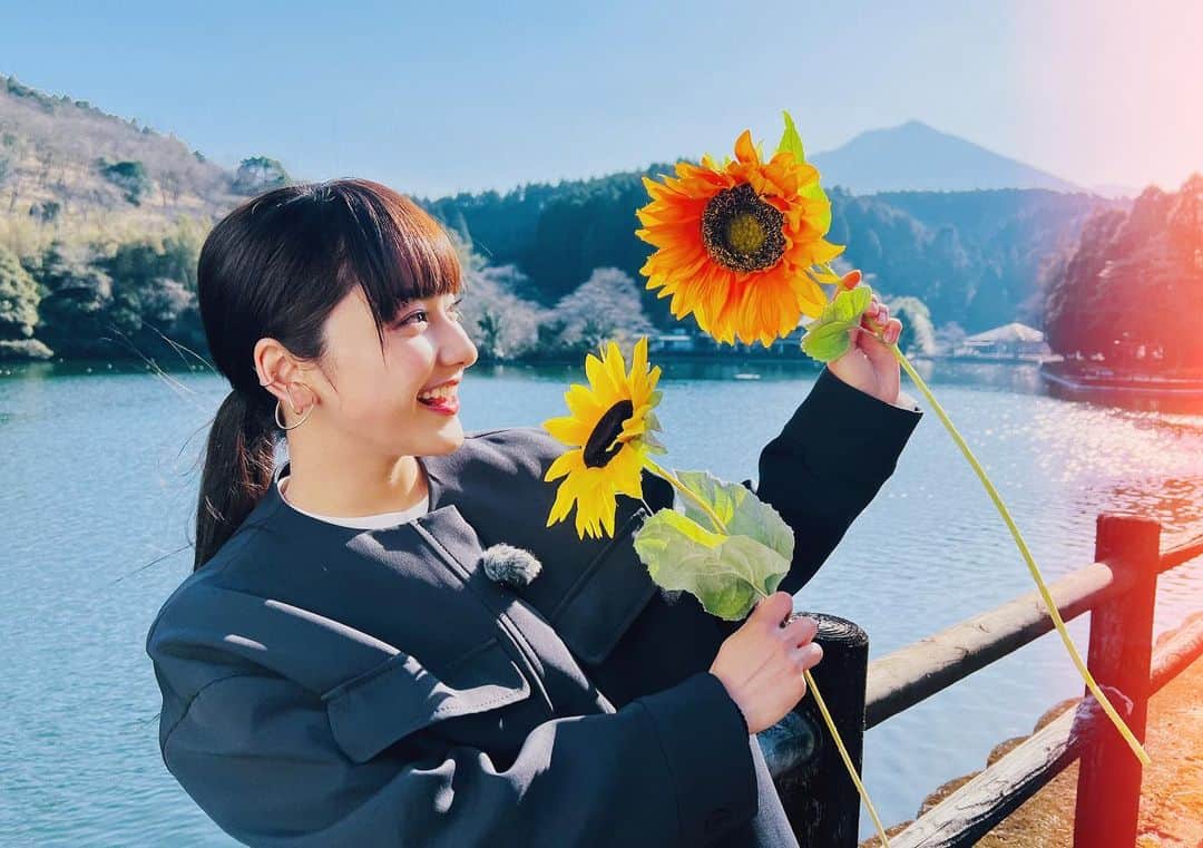 平祐奈のインスタグラム：「🧡🧡🧡 『ひまわりっ~宮崎レジェンド2~』 テレビ宮崎にて5/16(月) 夕方6時45分放送STARTです!  そしてTVer•FOD•カンテレドーガ•GYAO! にて配信もあります  パート1はHuluでも見られます☺︎  お楽しみにっ🌻 #ひまわりっ」