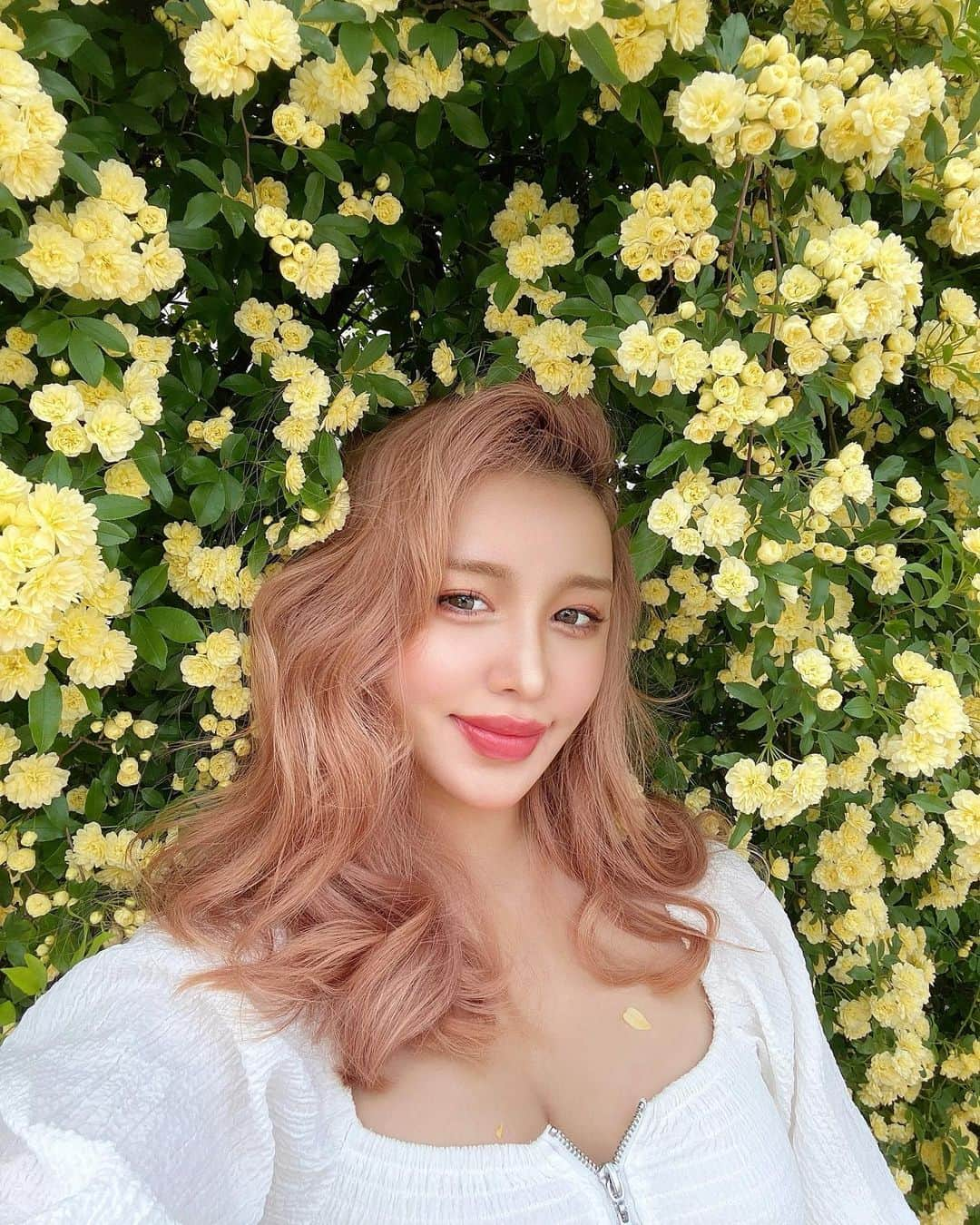 葉月さんのインスタグラム写真 - (葉月Instagram)「大好きなモッコウバラ🌼💛」4月23日 21時16分 - hzk0207