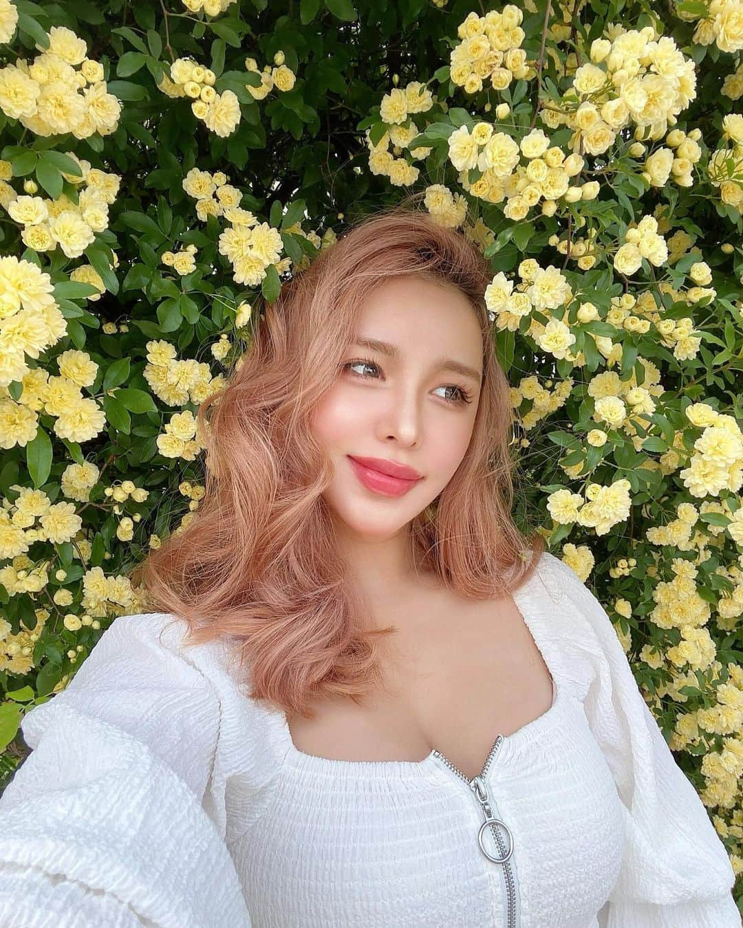 葉月さんのインスタグラム写真 - (葉月Instagram)「大好きなモッコウバラ🌼💛」4月23日 21時16分 - hzk0207