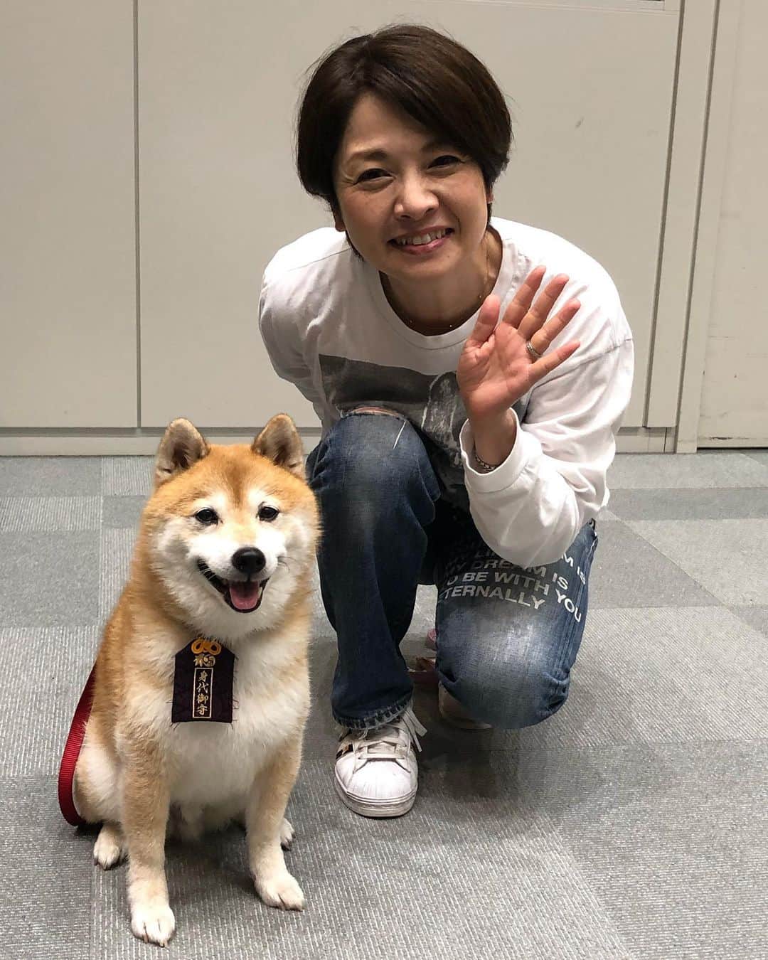 西山喜久恵のインスタグラム：「🐕 ハルが大きくなりました⁉️ ではなく、 何と、何と、水10ドラマ「ナンバMG5」で話題の難破松を演じている豆三郎君に会って来ました‼️ 撮影で湾岸スタジオにいるとの情報をキャッチ。すぐさま向かいました。 つぶらな瞳が可愛い😍 そして、無駄吠えしない落ち着きのある良い子でした。 さすが難破家の一員です。 出演者にとってもスタッフにとっても癒しの存在です。 可愛らしい尻尾も激写📸 クルンと巻いていて、こちらも可愛らしい後ろ姿でした。 今後も松の活躍に注目してくださいね。  #ナンバMG5 #難破松 #豆三郎」
