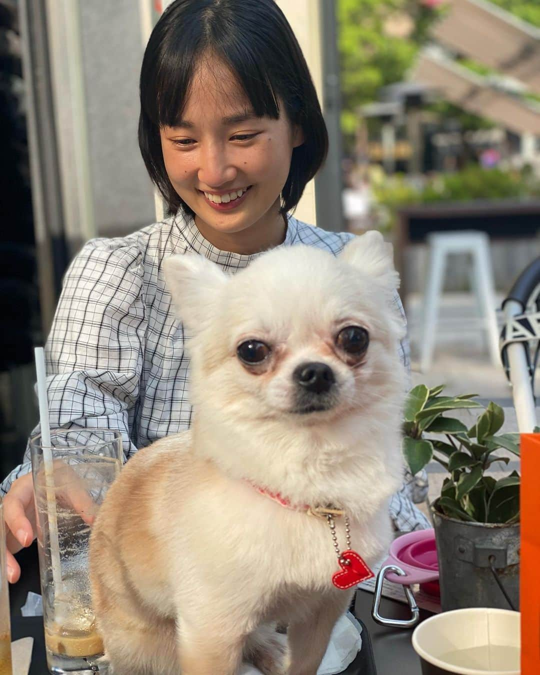 岸明日香さんのインスタグラム写真 - (岸明日香Instagram)「かほちんとお散歩してきた🐶💓 いーっぱい歩いたねー！！  お散歩すたいる。  今日は真っ黒まん。 トップスはみゅうちゃんのブランドです💋 とっても着心地よい🥰 @kawasaki.myu  @allblack_fashion_official   ちなみに最後の動画はぽんの彼女のりんりん、好きだから歩く速度合わせててかわいい😂💓」4月23日 23時28分 - aspoo02