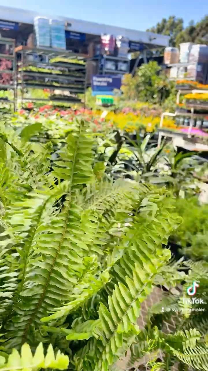 Sydney A Malerのインスタグラム：「Build the life u want ❤️🌱❤️」