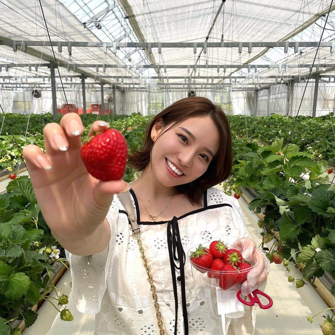 久松かおりのインスタグラム：「. 去年はいけなかった いちご狩り🍓✌️ . これでもかってくらい食べた😋 . 最近暖かくて幸せやな〜！！！ 写真の時だけマスク取ってるよ← . . . #いちご狩り #いちご #おでかけスポット #遠出 #followｍe」