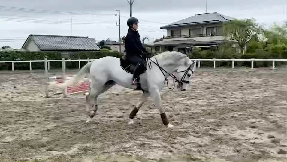 華原朋美のインスタグラム