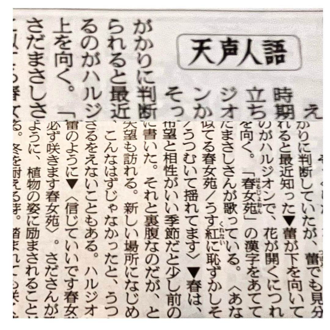 さだまさしさんのインスタグラム写真 - (さだまさしInstagram)「今日の「天声人語」🗞 「春女苑」を取り上げて頂きました。 . #天声人語 #朝日新聞 #春女苑 #さだまさし #sadamasashi」4月24日 14時44分 - sada_masashi