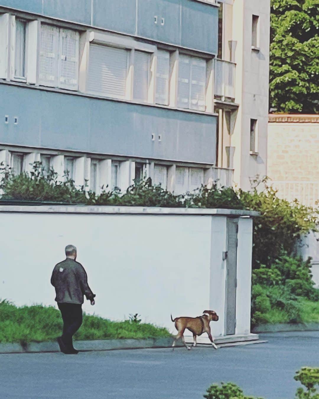 のインスタグラム：「あっ……ひさしぶりのマダム小林とパリの福ちゃん。  福ちゃんはほんといつも幸せそうだな。特に日曜日のゆっくりしたお散歩は、マダムと一緒にたくさんあそべて嬉しそう。  マダム小林と福ちゃんに、幸あれ。  みなさんも Bon dimanche 🌞  #猫パリ　#猫沢エミのインターナショナル五十路ライフシフト  #猫沢エミリーパリへ行く」