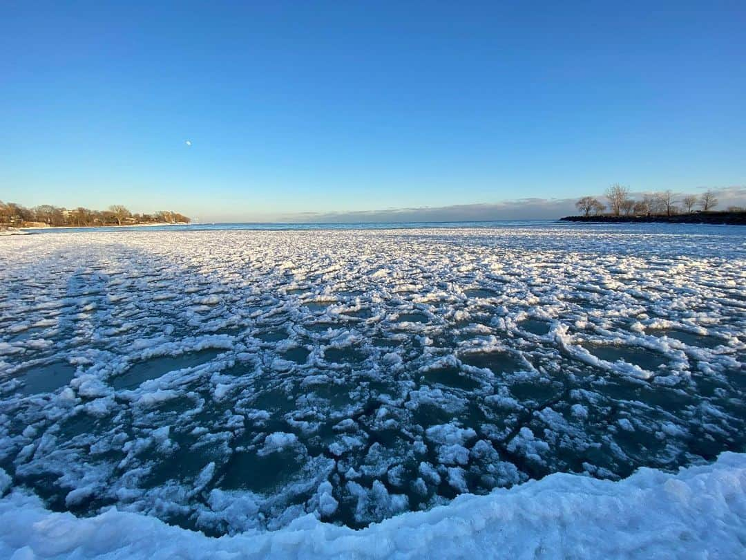 アヤカ・ウィルソンのインスタグラム：「____  ① Lake Ontario during Merch / 3月のオンタリオ湖❄️  ② soothing nature sound / 癒される自然がもたらす音楽🌊  ③A day out with my coworkers / バイト友達とお出かけした日🍒  ④ Made some delicious carrot cupcakes just because🧁 / ただ作りたかったから作った、最高に美味しいと評判だったキャロットカップケーキ 🥕私はフロスティング甘すぎて本当にいらないと思う笑笑  ⑤Some days lunch, strawberry sauce chicken / いつの日かのお昼、イチゴソースチキン🍓🐓  ⑥ I don’t know if this raccoon is cute or scary but I dig it / このアライグマ怖いんだかかわいいんのかよくわからないけどハマった😆  ⑦♪ walking in a winter wonderland ☃️  ⑧Just the adorable things in life / 人間観察も好きだけど動物観察にもハマってる🐒」