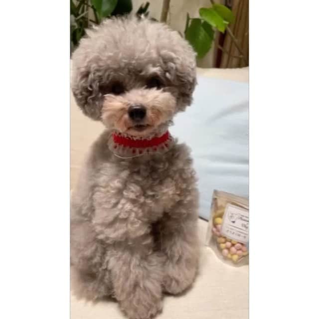 平原綾香のインスタグラム