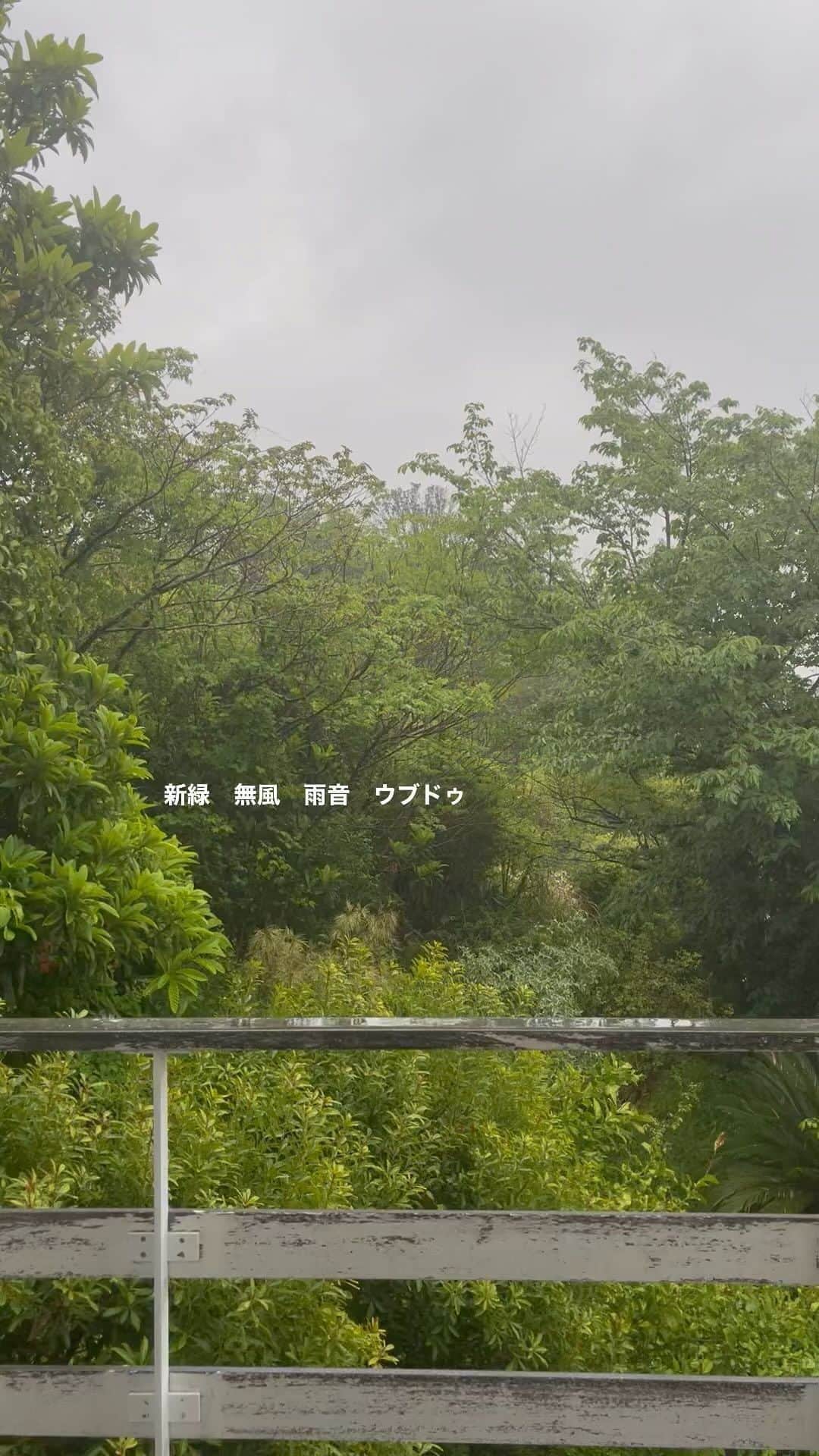 伊藤直樹のインスタグラム：「活動しようとした矢先の雨。うちの庭、なんか雨期のウブドゥみたいになってきたぞ。 #葉山 #ウブドゥ」