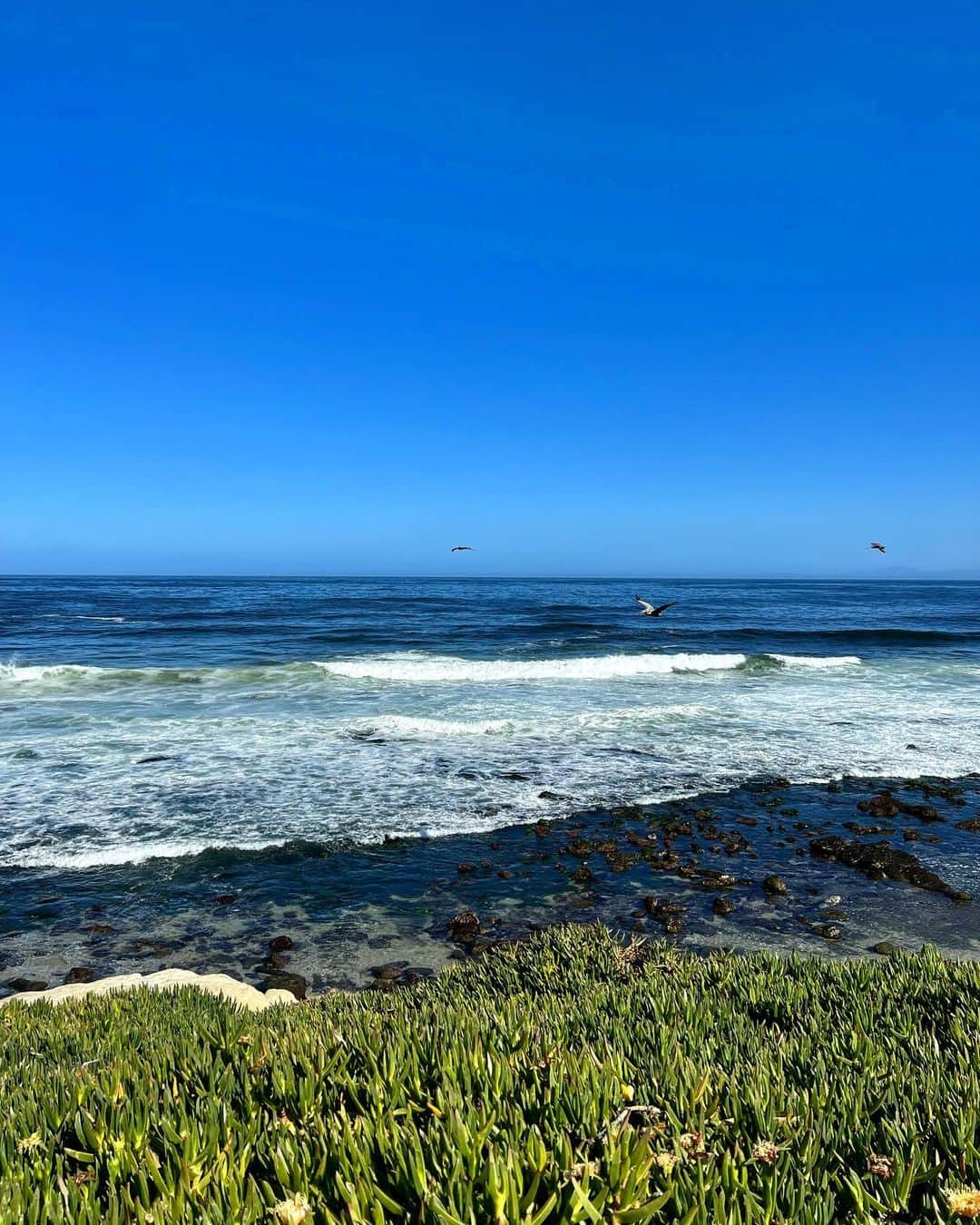 ダグラス・ラザノさんのインスタグラム写真 - (ダグラス・ラザノInstagram)「Yeah, another ocean pic 👌🏼  #lajolla」4月25日 0時47分 - douglasrazzano