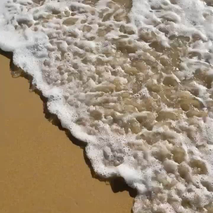 のインスタグラム：「Finding comfort in the rhythm of the  sea 🤍」