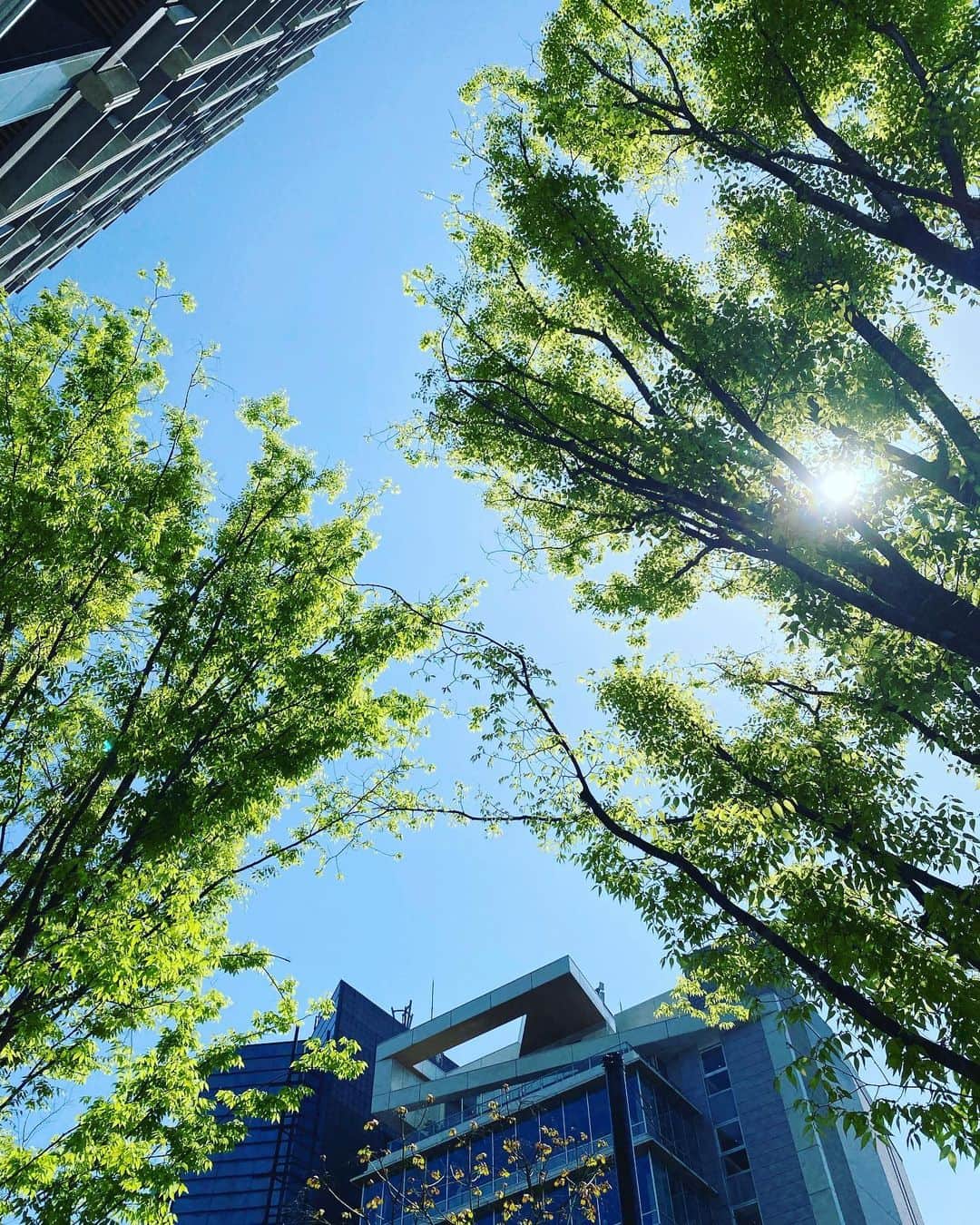 徳永有美さんのインスタグラム写真 - (徳永有美Instagram)「おはよう。 気持ちの良い朝です。 ちょうどいい風も吹いて。 息子が忘れ物をしたことも忘れます。」4月25日 9時58分 - yumi_tokunaga.official