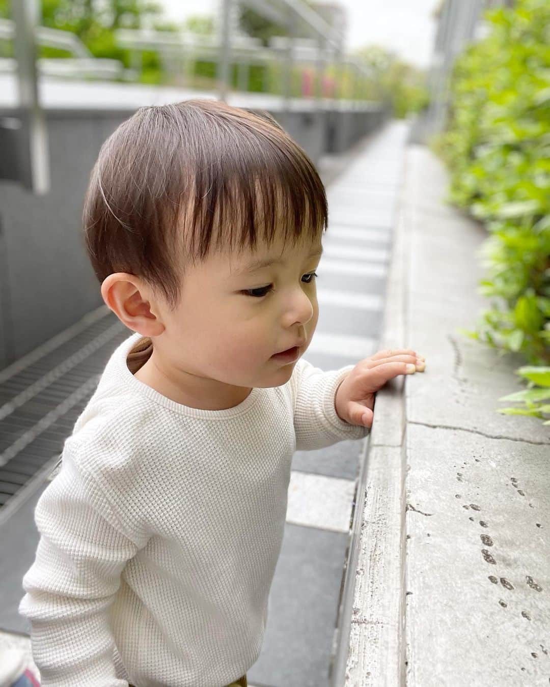 石原あつ美のインスタグラム：「・ 電車ブームが落ち着き 植物、花と来て 今は虫探しがマイブーム…🐜✨ アリとダンゴムシを見つけたら最後‼︎ 頑なにその場から動かないので、強制抱っこでその場を離れる母さん😂 『葉っぱ！』と道沿いにある草を片っ端から触りなかなか進まないそんな散歩道であります👩‍👦  #育児 #育児日記 #1歳7ヶ月#男の子ママ  #mamlife #myson」