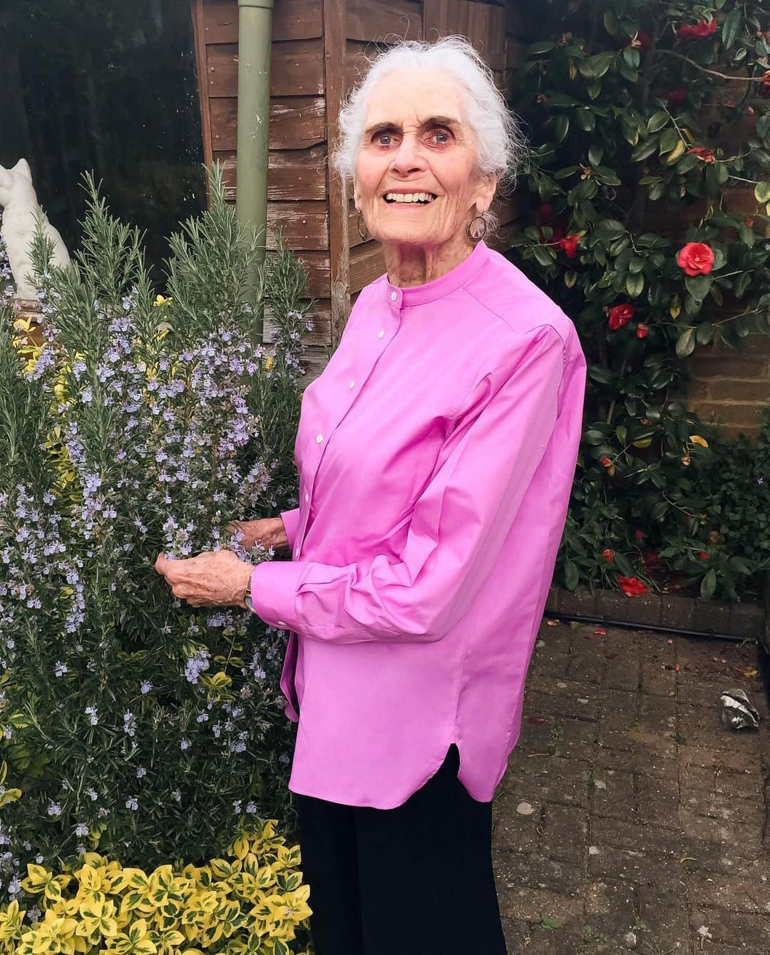 ダフネ・セルフさんのインスタグラム写真 - (ダフネ・セルフInstagram)「Enjoying the spring weather in my lovely pink @buddshirtmakers shirt. 💖🌸🌷 #advancedstyle  #fashion  #pink  #greyhair  #model  @models1」4月25日 19時52分 - daphneselfe