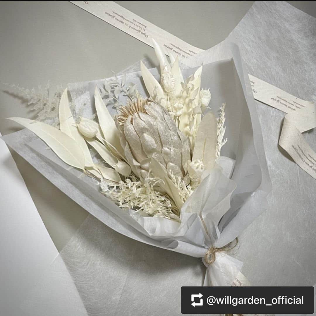 のインスタグラム：「【WILLGARDEN】NEW item  ホワイトの花材を集めた新商品。 母の日のギフトにもおすすめです。  春の新たな門出に、あえて色の入っていない花材をセレクトしております。  手に取ってくださった皆様が、「何色にも染まっていない、白のような新しい気持ちで日々を迎えられるように」と想いを込めて作成いたしました。  メインの花材であるプロテアは人気のウォームアイボリーカラーのアーティフィシャルフラワーです。  飾る場所を選ばず、長くお楽しみいただけるアレンジメントです。  詳細は @willgarden_official プロフィールページのURLよりご確認ください。  #flowers #artificalflower #life #lifestyle #gift #willgarden」