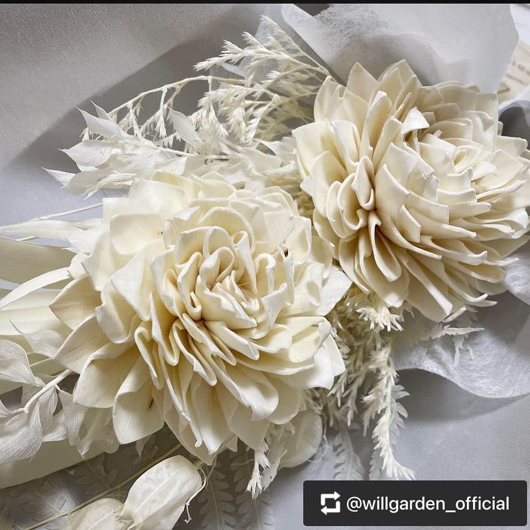 のインスタグラム：「【WILLGARDEN】NEWitem  ホワイトの花材を集めた新商品。 母の日のギフトにもおすすめです。  春の新たな門出に、あえて色の入っていない花材をセレクトしております。  手に取ってくださった皆様が、「何色にも染まっていない、白のような新しい気持ちで日々を迎えられるように」と想いを込めて作成いたしました。  メインの花材であるダリアは、天然の素材(ソラの木の皮)を使ったハンドメイドフラワーで、柔らかい雰囲気を感じられます。  飾る場所を選ばず、長くお楽しみいただけるアレンジメントです。  詳細は　@willgarden_official プロフィールページのURLよりご確認ください。  #flowers #artificalflower #lifestyle #life #gift #willgarden」