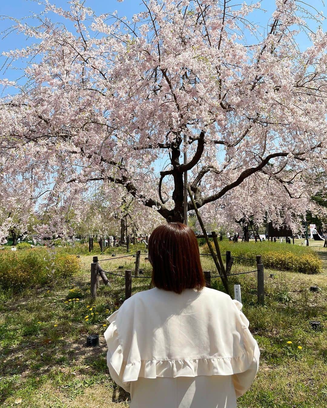 北野瑠華さんのインスタグラム写真 - (北野瑠華Instagram)「🌸🌸🌸」4月25日 22時04分 - rukakitano0525